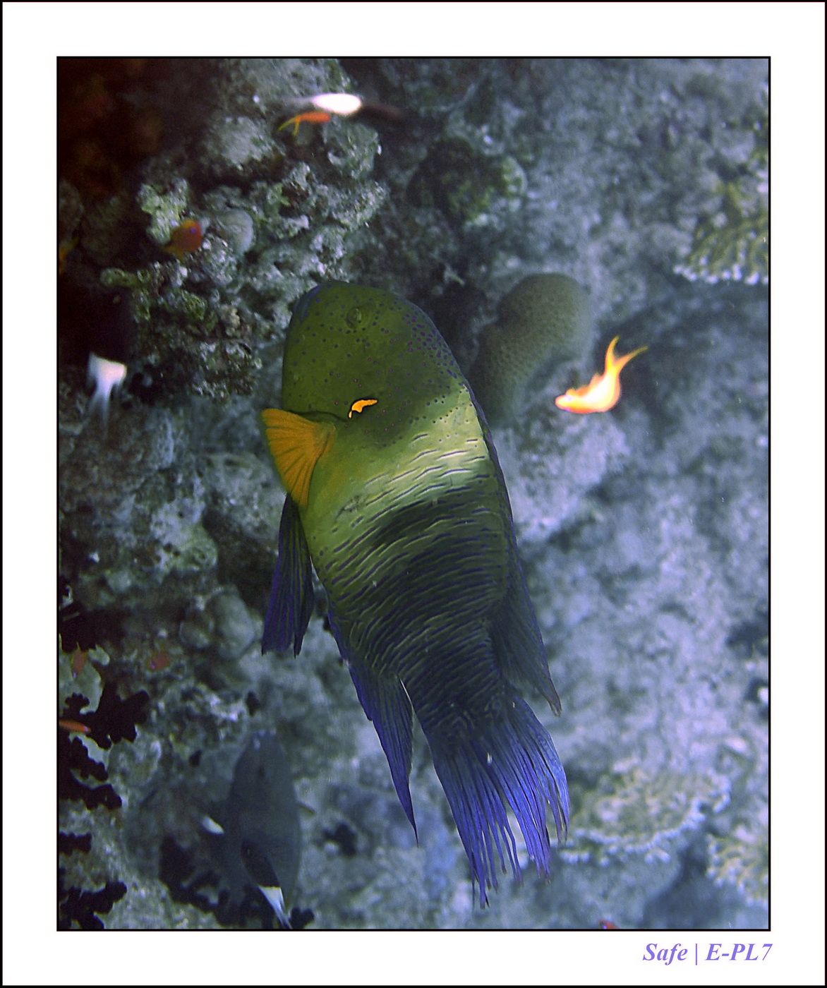 Hurghada - Juillet 2021 - 041